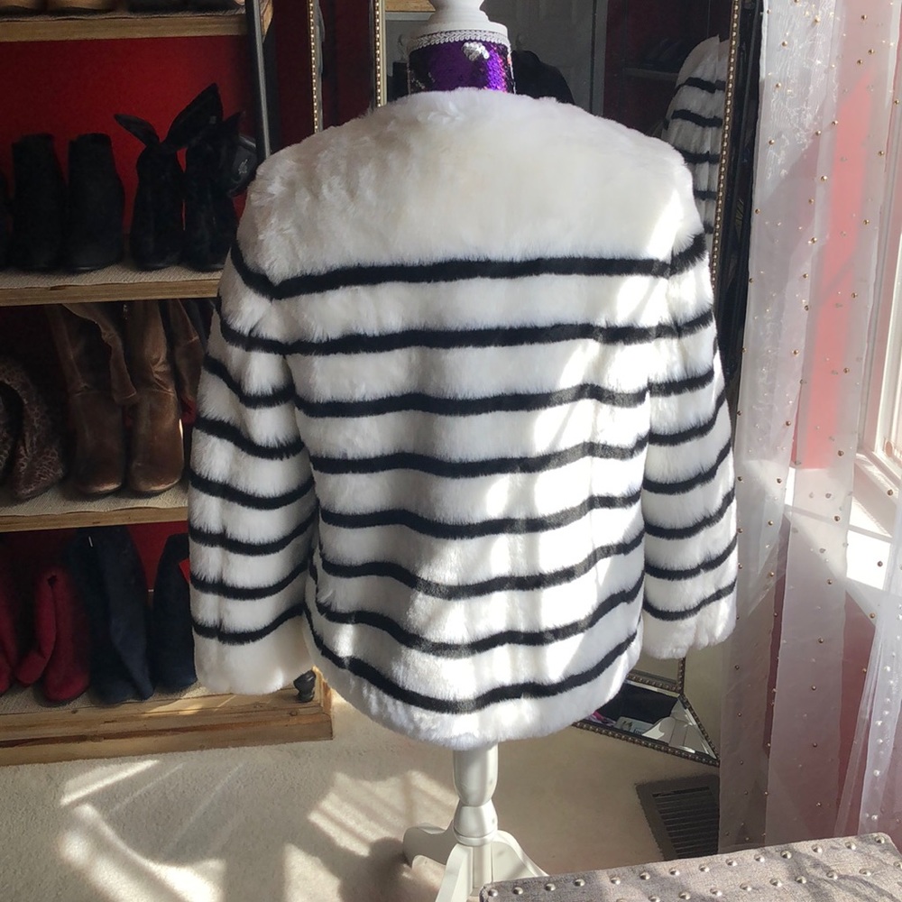 Coat - Picture 2 of 6